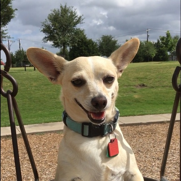 Meet your Posher, Cindy - Picture 1 of 1